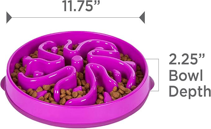 Outward Hound Slow Feeder Dog Bowl – Prevents Bloating & Fast Eating – Large 4 Cup Purple Flower