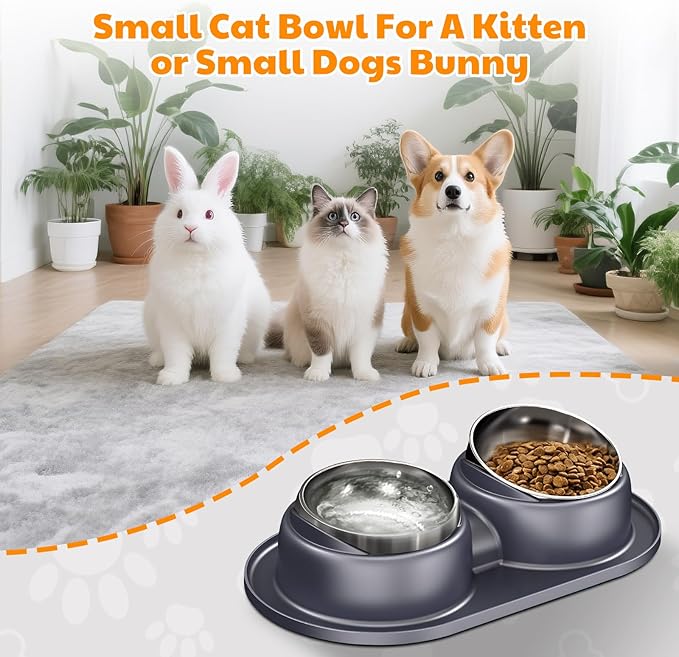 Elevated Cat Bowls Set of 2 Stainless Steel Bowl, Small Dog Food and Water Feeder with Non Spill Skid Resistant Mat,Tilted Dog Food Bowls Elevated Anti Vomiting, Ant Proof Cat Food Bowls