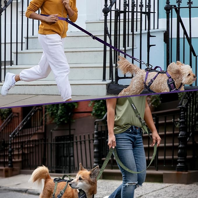 Heavy-Duty Tactical Dog Leash for Medium & Large Dogs, 6-in-1 Hands-Free Leash for Training, 4-7.5FT Waist Leash for Dog Walking (Midnight Purple)