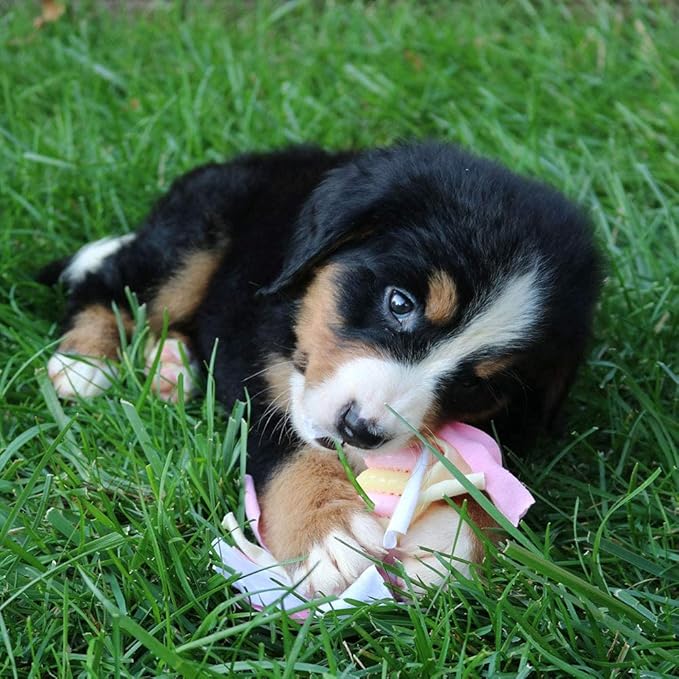 SmartPetLove Original Snuggle Puppy Essentials Starter Kit - Heartbeat Puppy for Dogs - Calming Aid with 3 Heat Packs, Puppy Teething Toy, Dog Chew Toy and Dog Blanket