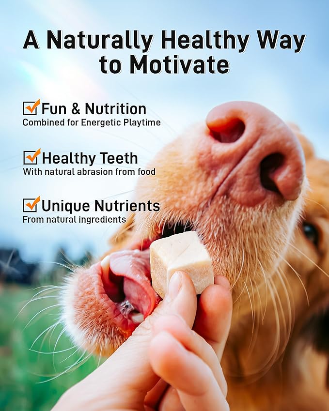 Freeze Dried Chicken Cats & Dogs Treats, High Protein Single Ingredient - No Additives | Grain Free | Training & Nutrition Supplements, Sealed Box, 3.52oz