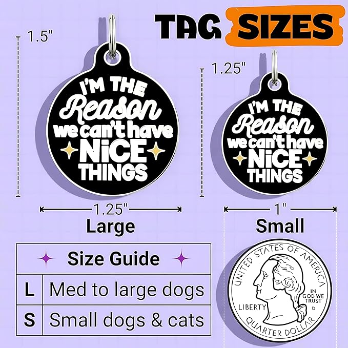 Bad Tags Personalized Dog & Cat ID Tags - Choose from 25+ Tag Designs - Free 5 Lines Custom Engraved - Unique, Cute, Funny, Sassy Pet Tag (I'm The Reason We Can't Have Nice Things, Large (1.25 inch))