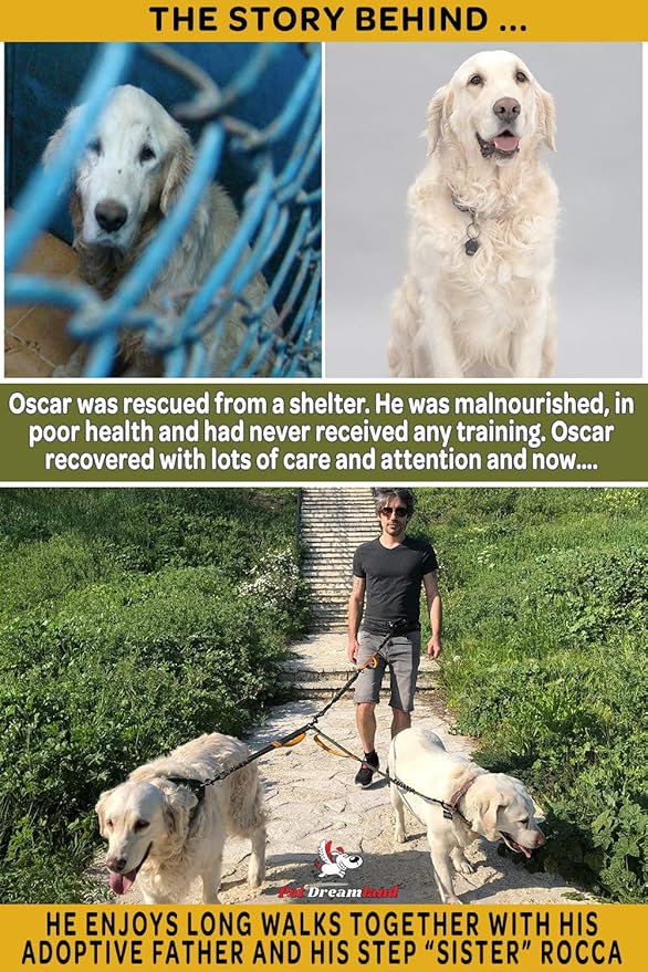 Pet Dreamland Exquisite Dual Dog Leash Coupler No Tangle Swivel. Premium Quality & Perfect for Walking Two Medium Dogs. You Will Absolutely Love This Amazing Double Attachment (Black & Red)