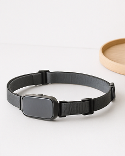 GPS Pet Tracker Collar β Mint