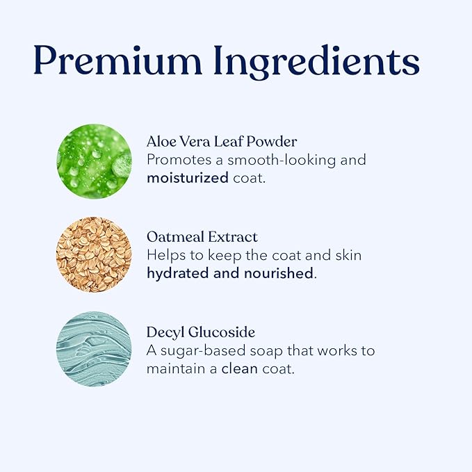 Honest Paws Dog Dry Shampoo - Waterless No Rinse Spray Formula Reducing Itch Cleanse Hydrate Nourish Dry Skin and Smelly Coat Help Decrease Odor Shedding and Allergies - Coconut & Mango - 8 oz