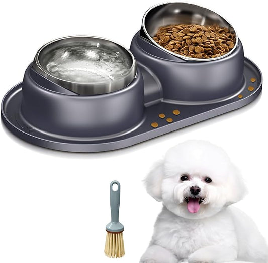Elevated Cat Bowls Set of 2 Stainless Steel Bowl, Small Dog Food and Water Feeder with Non Spill Skid Resistant Mat,Tilted Dog Food Bowls Elevated Anti Vomiting, Ant Proof Cat Food Bowls