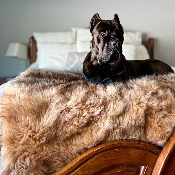 PupProtector Waterproof Throw Blanket for Dogs and Cats, Pet Blanket Cover for Couches, Sofas, Beds, Car Seats, Furniture, Calming Soft Faux Fur, Sable Brown, Original (60" L x 50" W)