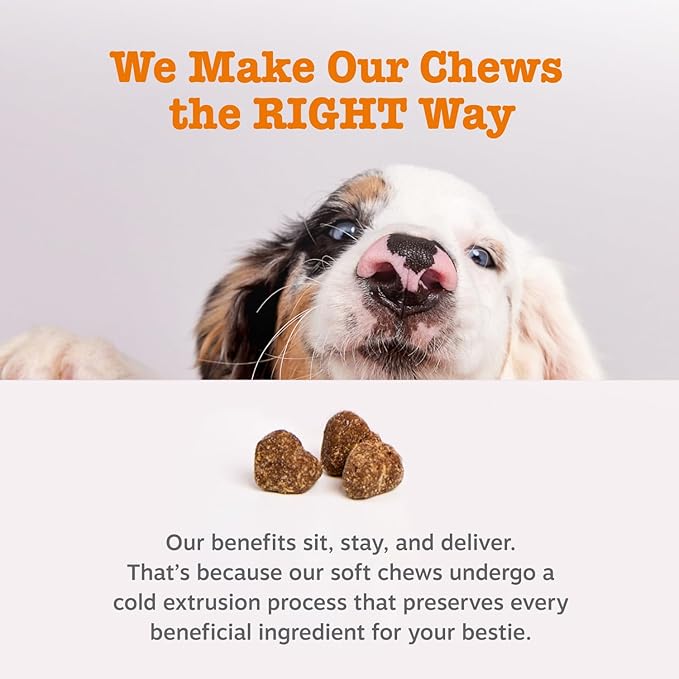 Zesty Paws Stay Green Bites for Dogs - Grass Burn Soft Chews for Lawn Spots Caused by Dog Urine - with Cranberry for Urinary Tract & Bladder - Beef - 90 Count