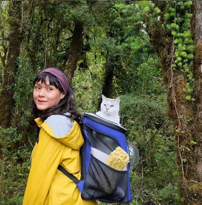 Your Cat Backpack Carrier Bag - Jackson Galaxy Airline Approved Cat Carrier with Space Capsule Bubble for Small Cats, Kitten - Premium Cat Carrier Backpack for Outdoor, Travel, Hiking, Pet Supplies