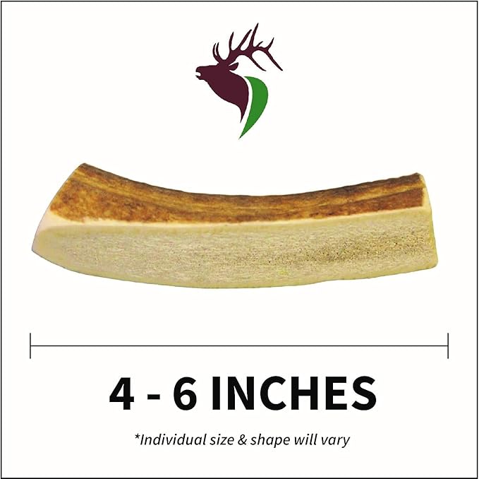 Small Split Single Pack (for 0-20 lb Dogs and Puppies) Premium Grade Elk Antler for Dogs (1 Piece) Sourced in The USA