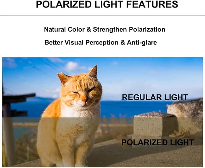 Front Expandable Cat Backpack Carrier, Fit up to 20 lbs, Polarized Tinted Brown Bubble Window Pet Carrier Backpack for Large Fat Cat and Small Puppy