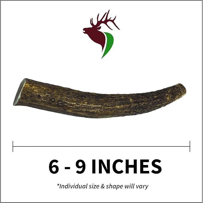 Medium Whole Twin Pack (for 20-45 lb Dogs and Puppies) Premium Grade Elk Antlers for Dogs (2 Pieces) Sourced in The USA