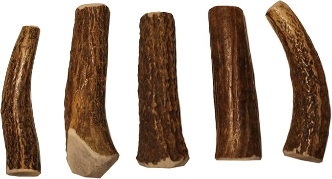 X Small Whole 5 Pack (for 0-15 lb Dogs and Puppies) Premium Grade Elk Antlers for Dogs (5 Pieces) Sourced in The USA