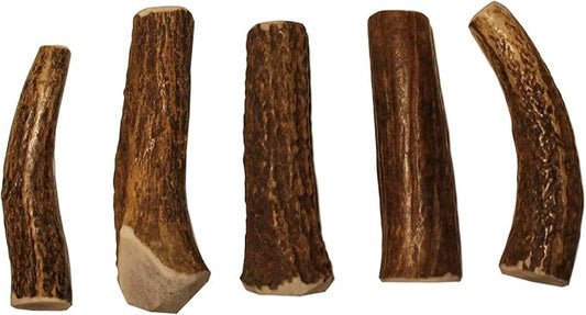 X Small Whole 5 Pack (for 0-15 lb Dogs and Puppies) Premium Grade Elk Antlers for Dogs (5 Pieces) Sourced in The USA