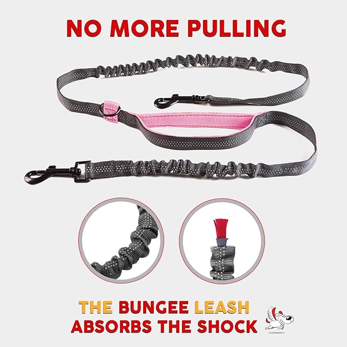 Pet Dreamland Exquisite Hands Free Dual Dog Leash for Medium Dogs. Trending Waist Leash for Walking 2 Dogs No Tangle. You Will Absolutely Love This Amazing Double Dog Gear (Dark Grey & Pink)