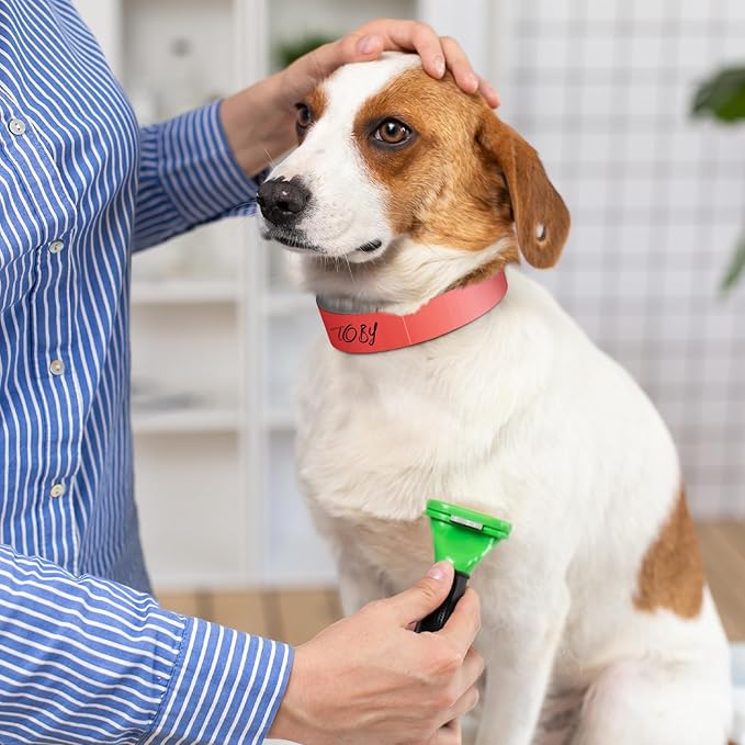 500 Count 20inch Adjustable Paper Dog Collars with Tear Resistant Waterproof Whelping Collars Paper Puppy ID Bands Adhesive Pet Identification Tags for Newborn Dog Cat Hospitals(Red)