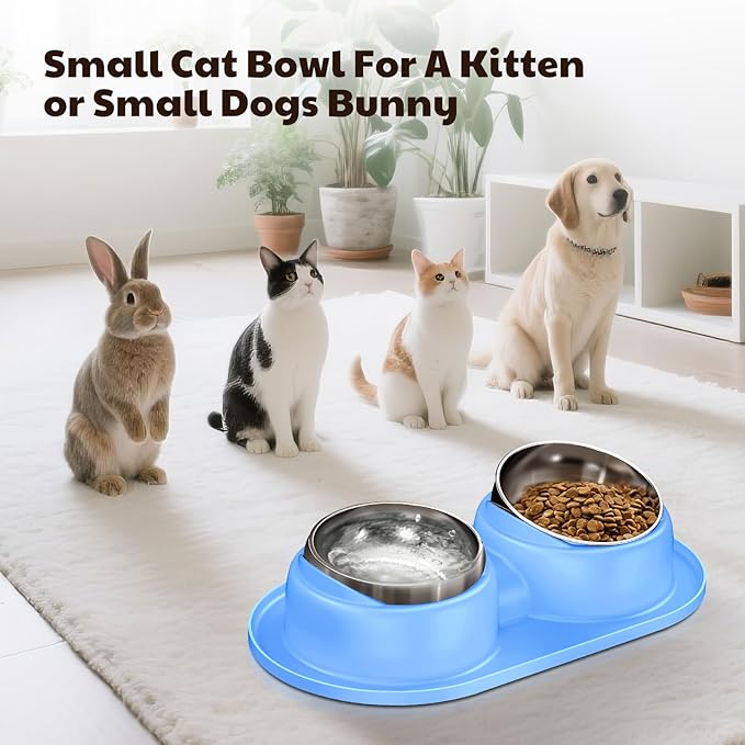 Cat Bowls 2 Stainless Steel Bowl for Pet Dog Water and Food Feeder with Non Spill Skid Resistant Silicone Mat,Tilted Bowls Elevated Anti Vomiting, Non-Slip Base, Ant Proof Food & Water.Blue