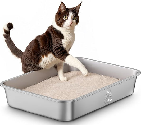Stainless Steel Litter Box, Large Cat Litter Box for Medium to Large Cats, Odor-Free, Non-Stick, Easy to Clean, 19.5"×13.6"×3.9", Low Entry for Kittens, Seniors, or Injured Cats