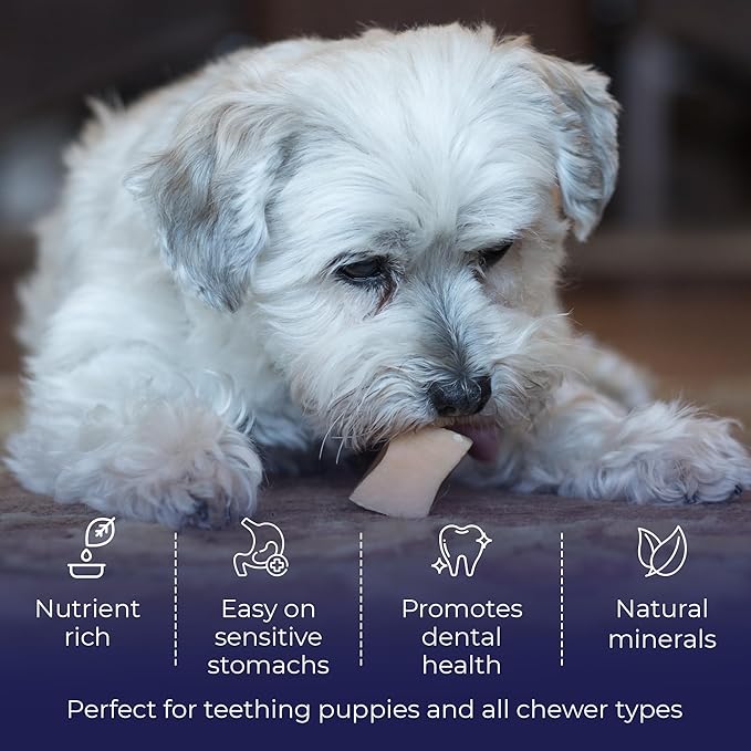 Devil Dog Pet Co. Himalayan Yak Cheese Dog Chews, Small - 4 Pack, 100% Natural & Healthy, Lactose-Free, Long-Lasting Dog Treats, Premium Yak Milk Chew Bones for Dogs