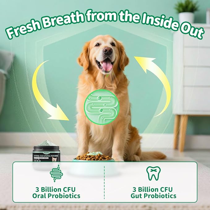 Dog Dental Powder – Teeth Cleaning Powder with 6B CFU Probiotics, Enzymes & Antioxidants, Plaque & Tartar Off, Fresh Breath Support, No Brushing Oral Care, Mint Chicken Flavor, 75 Servings