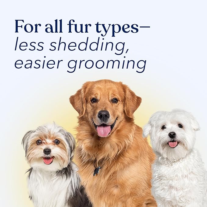 Honest Paws Dog Dry Shampoo - Waterless No Rinse Spray Formula Reducing Itch Cleanse Hydrate Nourish Dry Skin and Smelly Coat Help Decrease Odor Shedding and Allergies - Oatmeal & Lavender - 16 oz