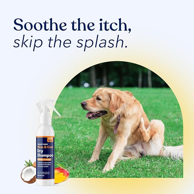 Honest Paws Dog Dry Shampoo - Waterless No Rinse Spray Formula Reducing Itch Cleanse Hydrate Nourish Dry Skin and Smelly Coat Help Decrease Odor Shedding and Allergies - Coconut & Mango - 8 oz