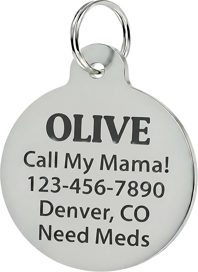 Bad Tags Personalized Dog & Cat ID Tags - Choose from 25+ Tag Designs - Free 5 Lines Custom Engraved - Unique, Cute, Funny, Sassy Pet Tag (Spoiled Rotten, Small (1 inch))