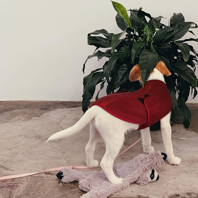 Queenmore Small Dog Sweater, Soft Fleece Vest Pullover Dog Jacket with Leash Hole, Warm Winter Dogs Clothes Cold Weather Doggy Dachshund Sweaters for Small Doggy Cats Boy or Girl (Burgundy, S)