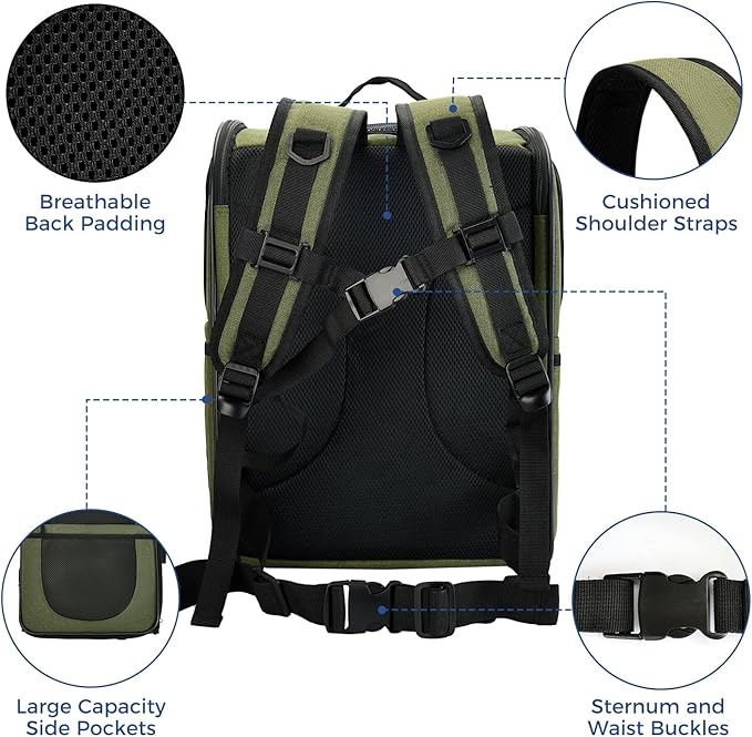 Apollo Walker Dog & Cat Carrier Backpack for 4-18lb Pets - Ventilated Safe Design with Padded Back Support, Breathable Mesh Pet Backpack for Hiking, Travel, Outdoor (Green)