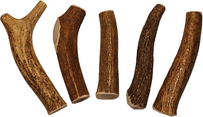Small Whole 5 Pack (for 10-30 lb Dogs and Puppies) Premium Grade Elk Antlers for Dogs (5 Pieces) Sourced in The USA