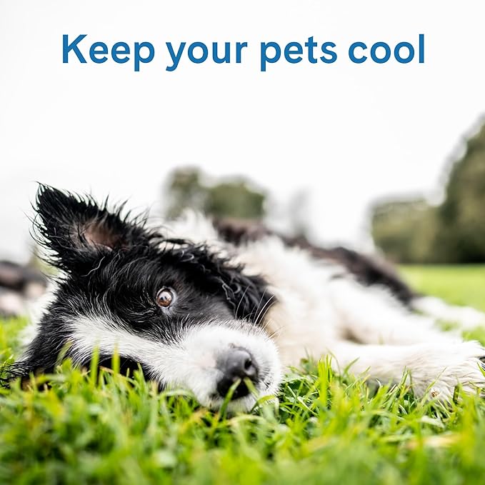 The Green Pet Shop Cool Pet Pad - Extra Large, Sage Grey - Self-Cooling, Pressure Activated Mat for Dogs & Cats from 80+ lbs - Non-Toxic Gel, No Water Needed