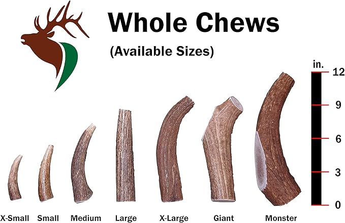 Small Whole Single Pack (for 10-30 lb Dogs and Puppies) Premium Grade Elk Antler for Dogs (1 Piece) Sourced in The USA