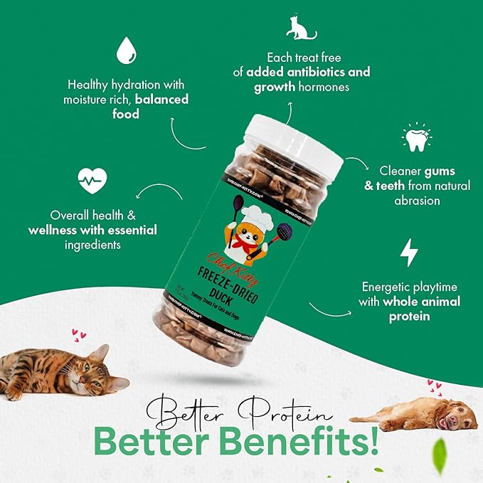 Freeze-Dried Duck Treats for Cats & Dogs – 100% Human Grade, Single Ingredient, High-Protein, Healthy Snack – No Additives or Preservatives – 1.5oz - Inspected & Tested in USA