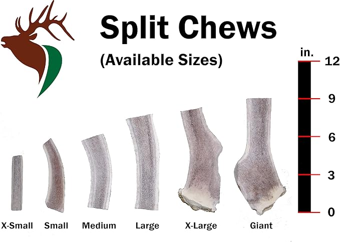 Large Split Twin Pack (for 30-50 lb Dogs) Premium Grade Elk Antlers for Dogs (2 Pieces) Sourced in The USA