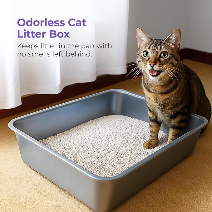 iPrimio Ultimate Stainless Steel XL Cat Litter Box - XL Litter Box for Big Cats - Large - Never Absorbs Odor, Stains, or Rusts - Easy Cleaning Litterbox Designed by Cat Owners (1 Pan)