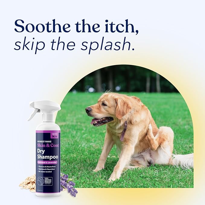 Honest Paws Dog Dry Shampoo - Waterless No Rinse Spray Formula Reducing Itch Cleanse Hydrate Nourish Dry Skin and Smelly Coat Help Decrease Odor Shedding and Allergies - Oatmeal & Lavender - 16 oz