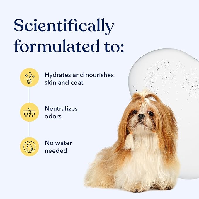 Honest Paws Dog Dry Shampoo - Waterless No Rinse Foaming Formula Reducing Itch Cleanse Hydrate Nourish Dry Skin and Smelly Coat Help Decrease Odor Shedding and Allergies - Oatmeal & Lavender - 6.3 oz