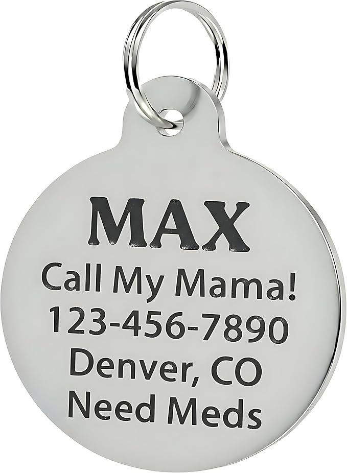 Bad Tags Personalized Dog & Cat ID Tags - Choose from 25+ Tag Designs - Free 5 Lines Custom Engraved - Unique, Cute, Funny, Sassy Pet Tag (Ask Me About My Butthole - Teal, Small (1 inch))