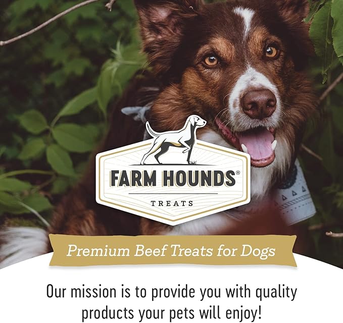 Farm Hounds - Beef Heart - Premium Natural Beef Heart Jerky For Dogs - Made From 100% Humanely Raised Cattle - Organ Treats - Great For Training & Treats - No Added Fillers - Made in USA - 4oz -1 Pack