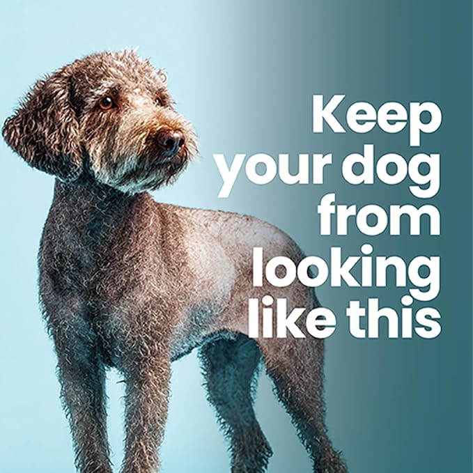 Save The Shave Bundle, Emergency Dematter Cream & Rake Brush Set for Dogs, Removes Tough Mats & Knots, Reduces Shedding & Breakage, Gentle Coat Grooming Essentials