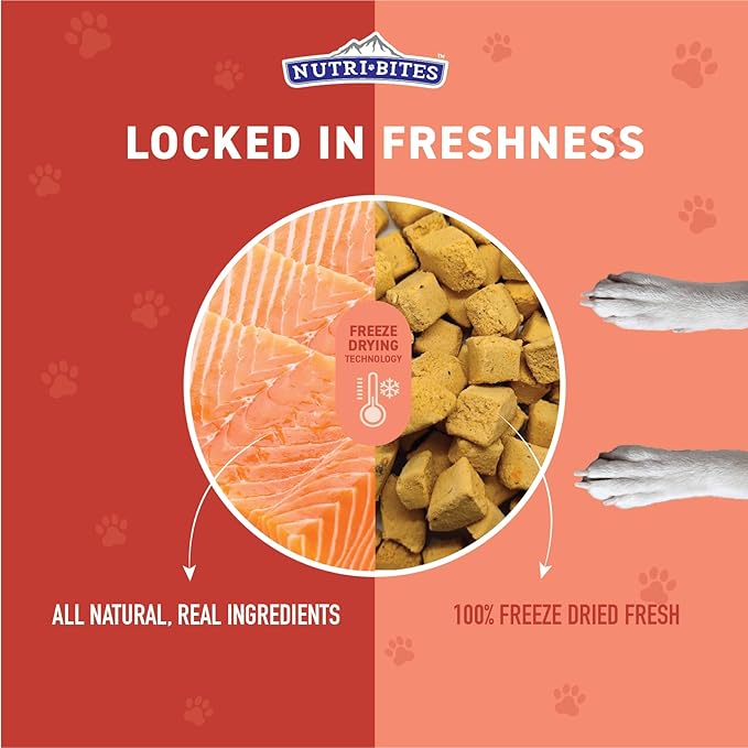 Nutri Bites Freeze Dried Salmon Dog & Cat Treats | Healthy Pet Training Treats or Food Topper | All Natural, 1 Single Animal Protein, High Protein | Premium Bulk Value Pack, 14 oz