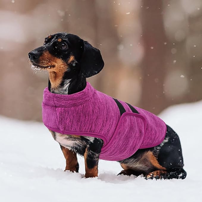 Queenmore Small Dog Sweaters, Soft Fleece Vest Pullover Dog Jacket with Leash Hole, Warm Winter Dogs Clothes Cold Weather Doggy Dachshund Sweater for Small Dogs Cats Boy or Girl (Cationic Berry, XS)