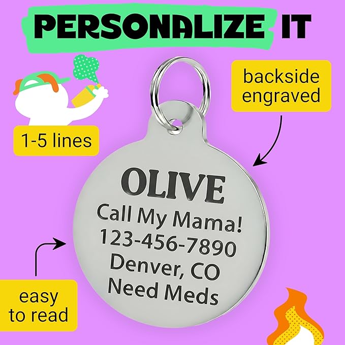 Bad Tags Personalized Dog & Cat ID Tags - Choose from 25+ Tag Designs - Free 5 Lines Custom Engraved - Unique, Cute, Funny, Sassy Pet Tag (Spoiled Rotten, Small (1 inch))