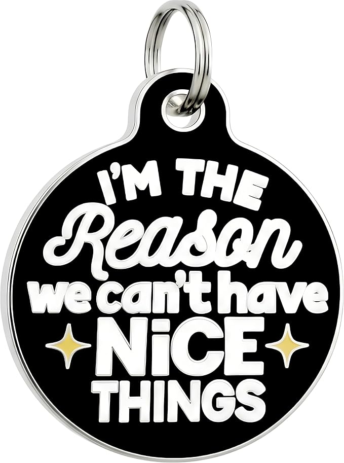Bad Tags Personalized Dog & Cat ID Tags - Choose from 25+ Tag Designs - Free 5 Lines Custom Engraved - Unique, Cute, Funny, Sassy Pet Tag (I'm The Reason We Can't Have Nice Things, Large (1.25 inch))