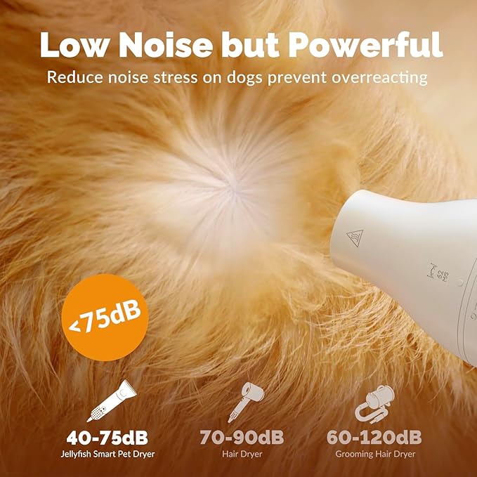 2 in 1 Grooming Kit for Pet-Dog Hair Dryer & Professional Grooming Brush for Frizzy Dog Hair Styling-1.21lb Lightweight Handhold Portable High Velocity Force Blower+4 Replacement Nozzle at Home Travel