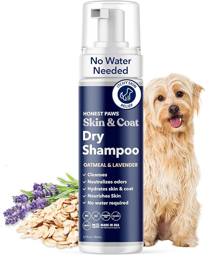 Honest Paws Dog Dry Shampoo - Waterless No Rinse Foaming Formula Reducing Itch Cleanse Hydrate Nourish Dry Skin and Smelly Coat Help Decrease Odor Shedding and Allergies - Oatmeal & Lavender - 6.3 oz