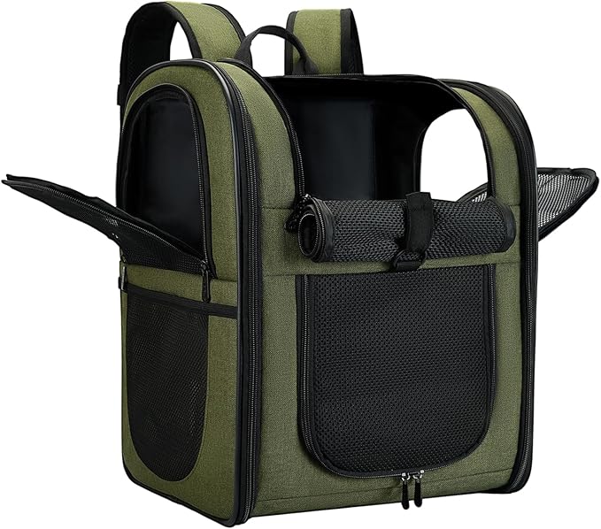 Apollo Walker Dog & Cat Carrier Backpack for 4-18lb Pets - Ventilated Safe Design with Padded Back Support, Breathable Mesh Pet Backpack for Hiking, Travel, Outdoor (Green)