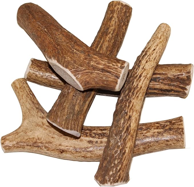 X Small Whole 5 Pack (for 0-15 lb Dogs and Puppies) Premium Grade Elk Antlers for Dogs (5 Pieces) Sourced in The USA