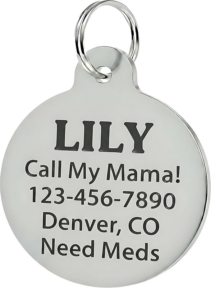 Bad Tags Personalized Dog & Cat ID Tags - Choose from 25+ Tag Designs - Free 5 Lines Custom Engraved - Unique, Cute, Funny, Sassy Pet Tag (I Bark at Karens, Small (1 inch))