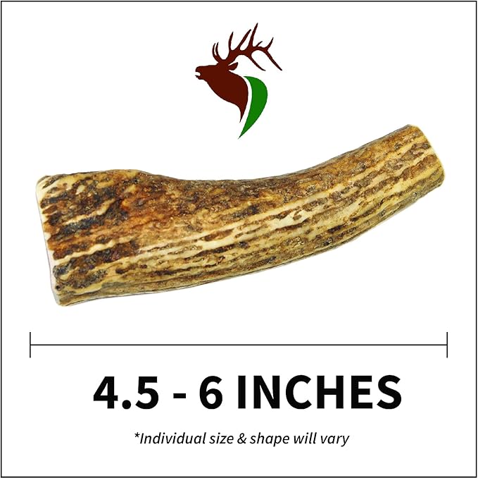 Small Whole 5 Pack (for 10-30 lb Dogs and Puppies) Premium Grade Elk Antlers for Dogs (5 Pieces) Sourced in The USA
